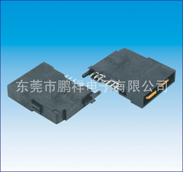 大電流系列，2P電池公座